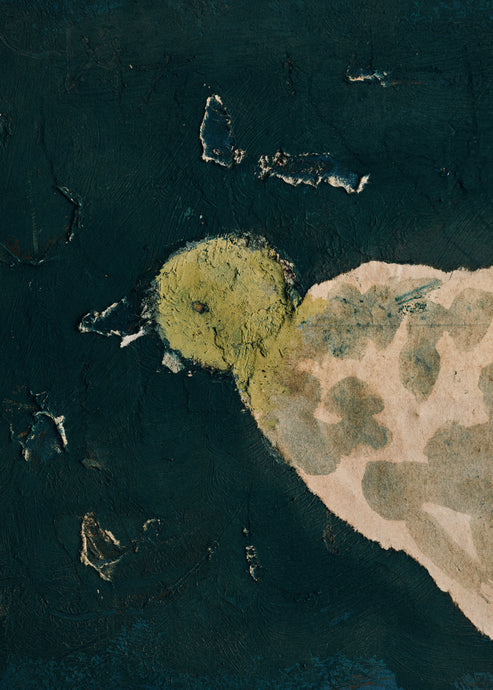 Satoko Morishita, Bird #3