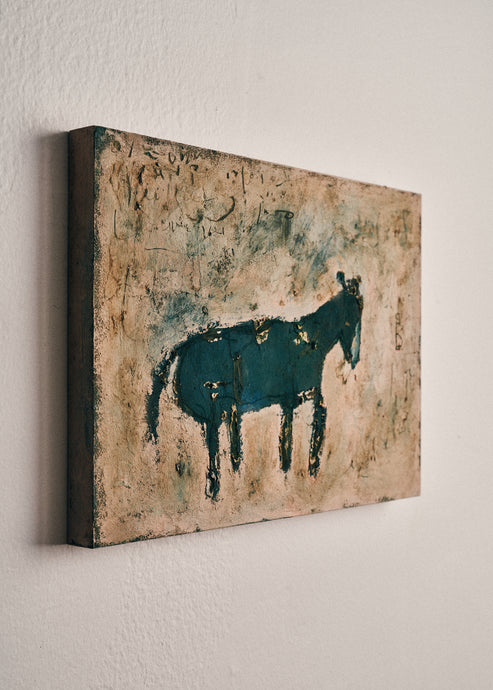 Satoko Morishita, Horse #1