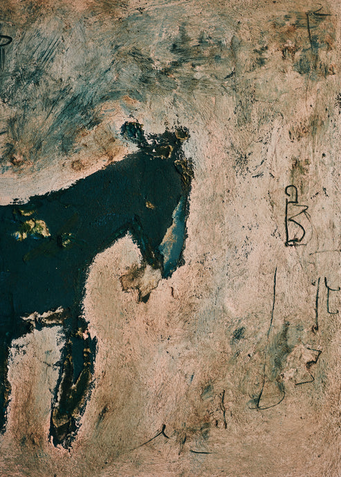 Satoko Morishita, Horse #1