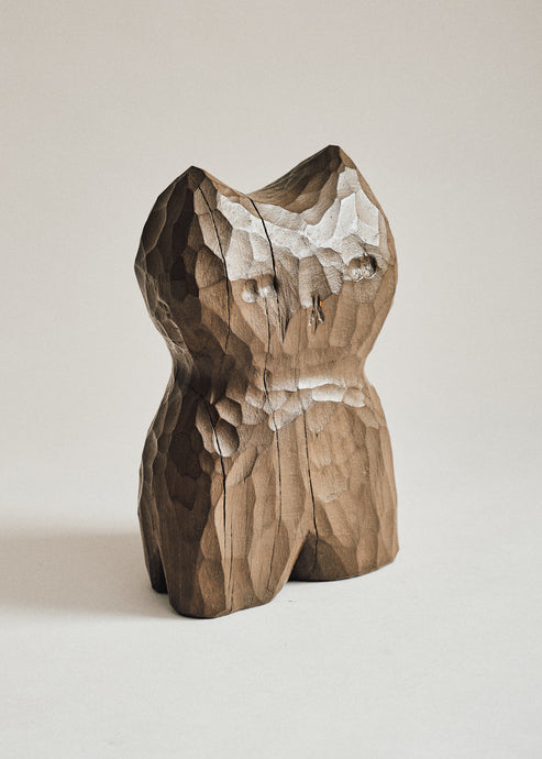 Michael Leach, Brown Cat