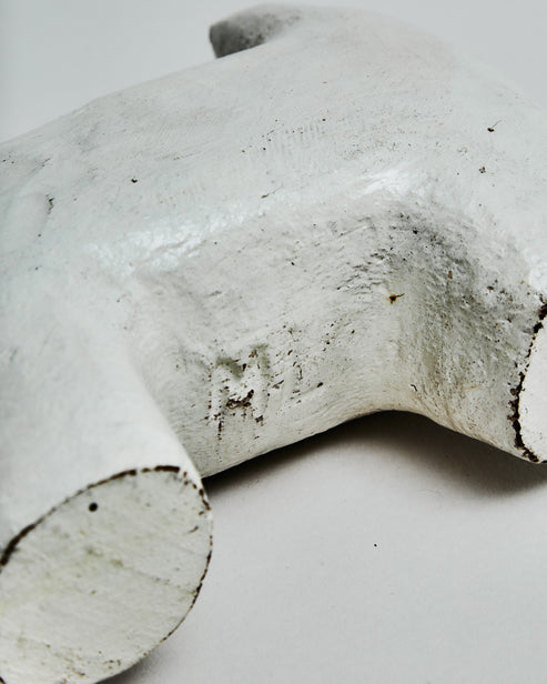 Michael Leach, Little White Dog
