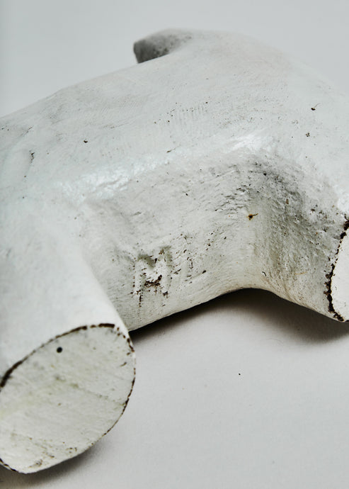 Michael Leach, Little White Dog