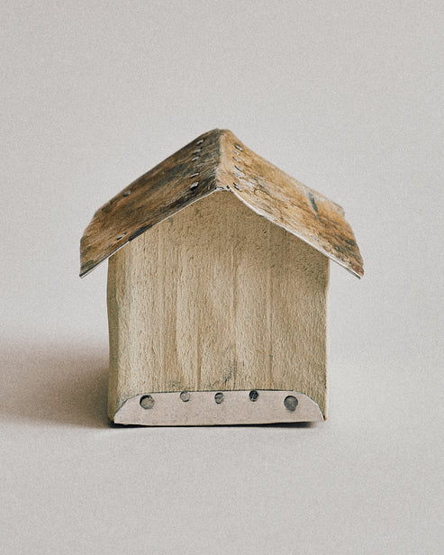 Joelle Yu, Aluminum Roof House 1