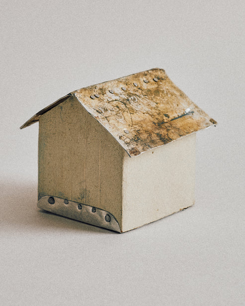 Joelle Yu, Aluminum Roof House 1