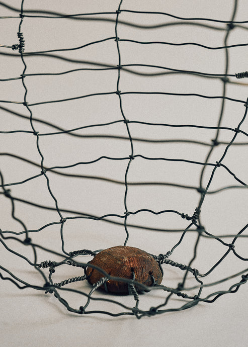 Joelle Yu, Walnut Vase
