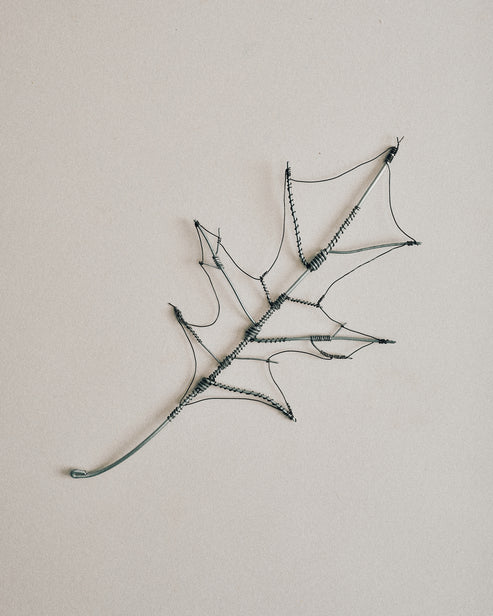 Joelle Yu, Wire Oak Leaf