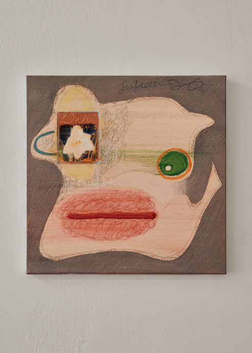 Camilo Medina, “La Vision De Un Angel”