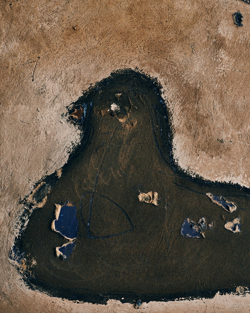 Satoko Morishita, Bird #5