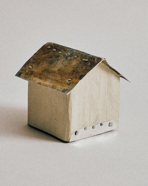 Joelle Yu, Aluminum Roof House 1