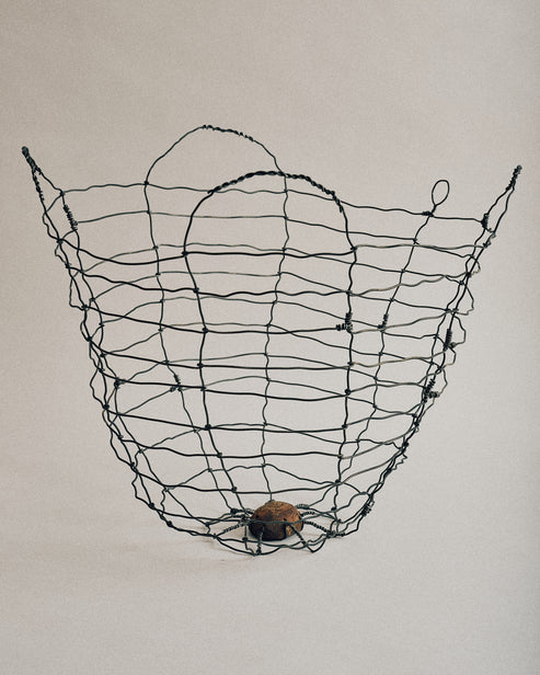 Joelle Yu, Walnut Basket