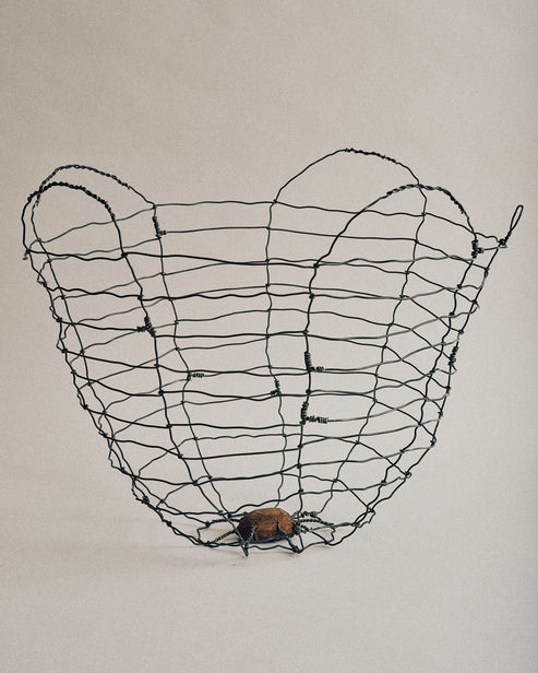 Joelle Yu, Walnut Basket