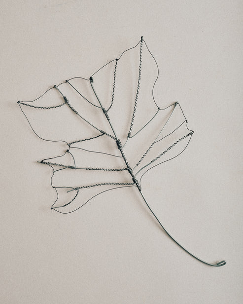 Joelle Yu, Wire Tulip Leaf