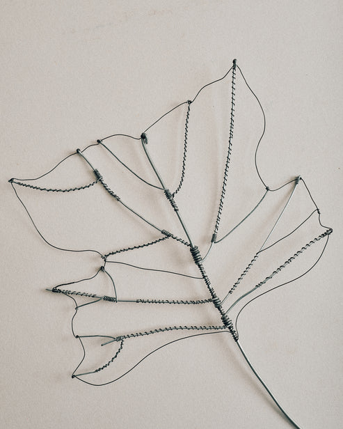 Joelle Yu, Wire Tulip Leaf