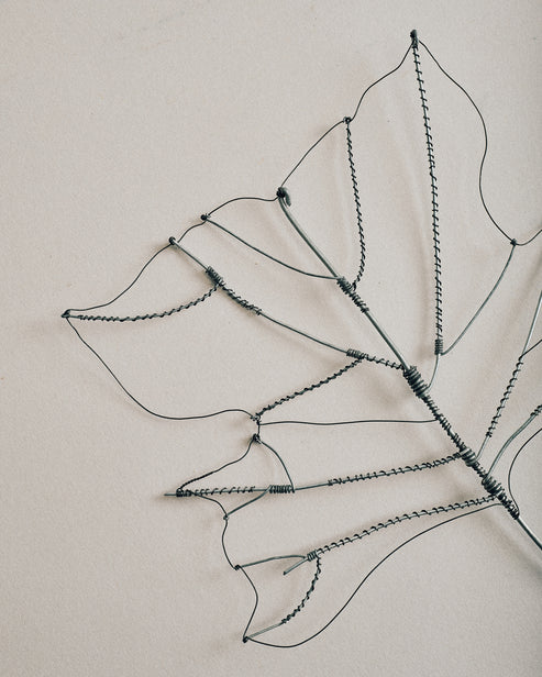 Joelle Yu, Wire Tulip Leaf