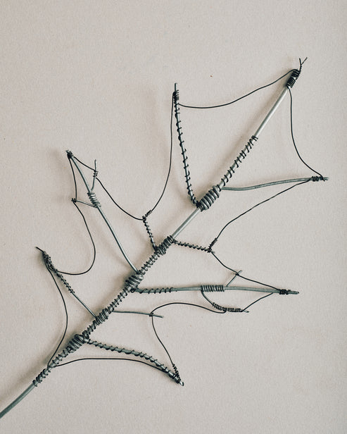 Joelle Yu, Wire Oak Leaf