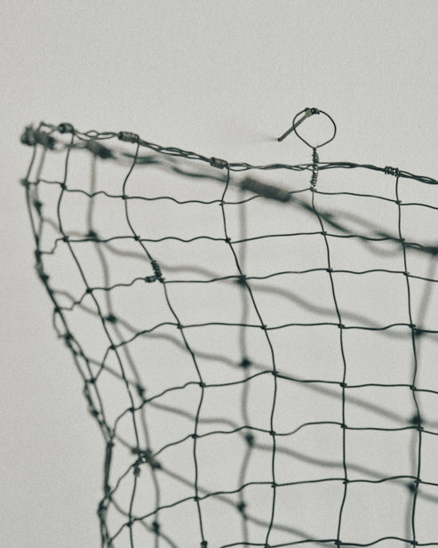 Joelle Yu, Ocean Basket